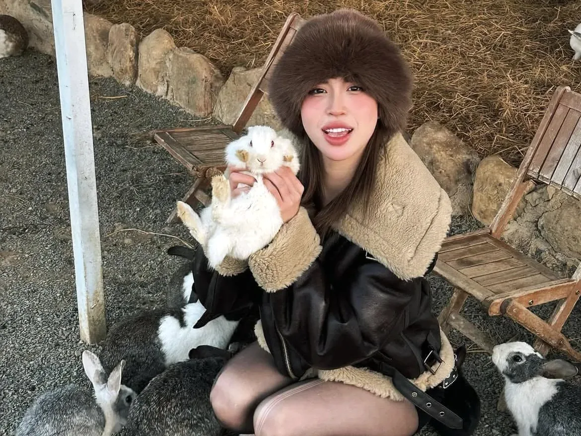 Thỏ