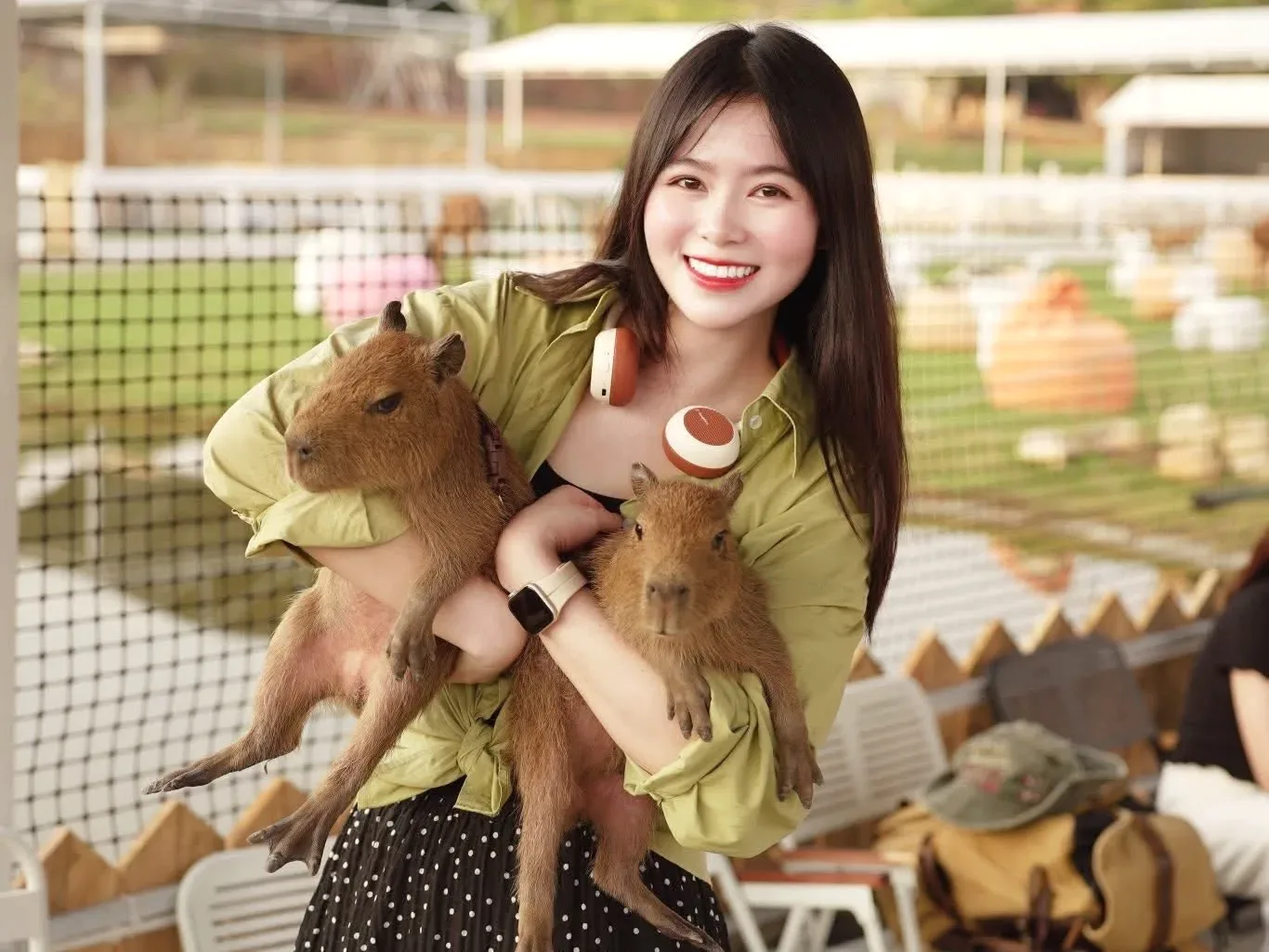 Chuột lang nước