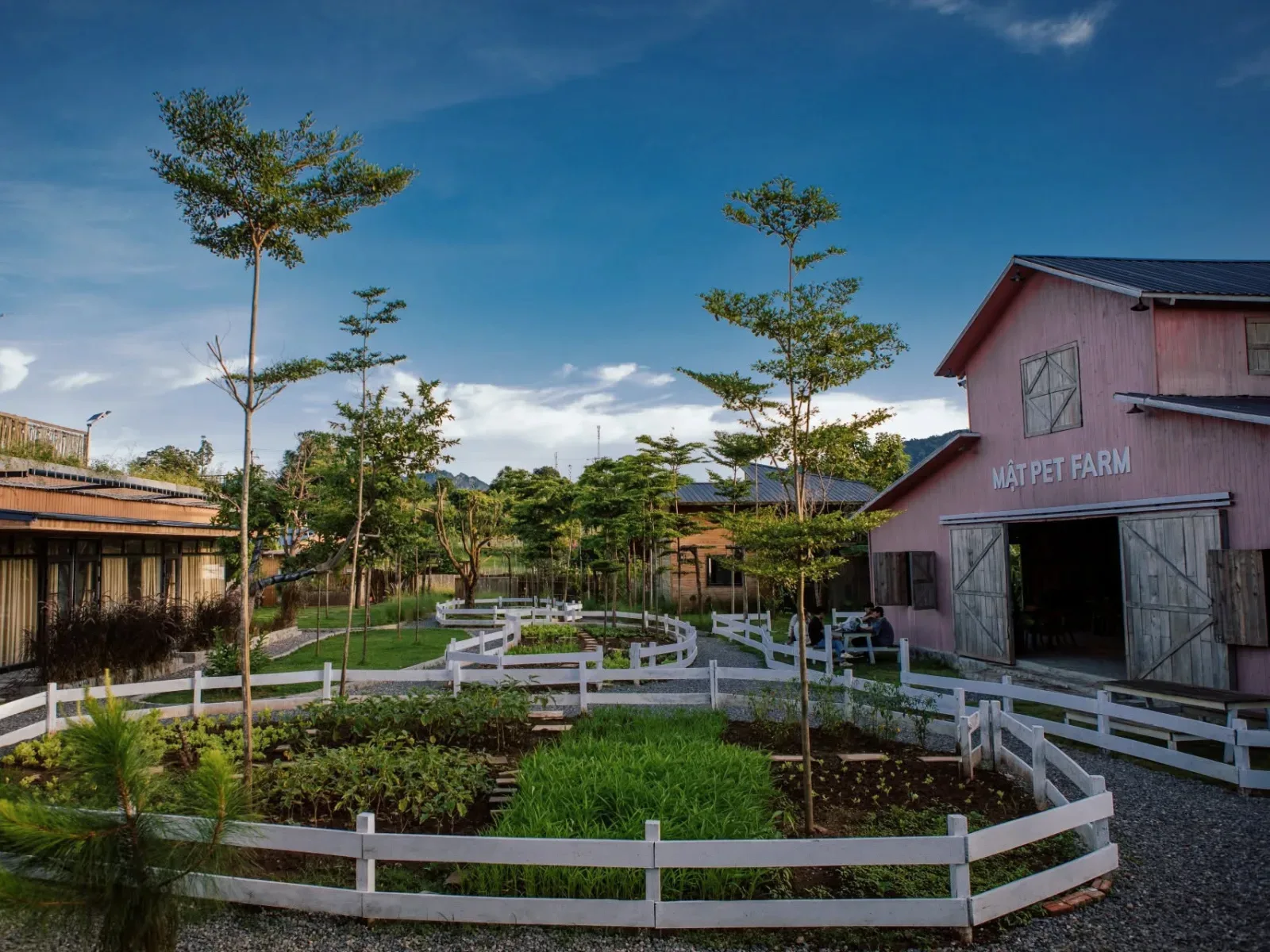 Toàn cảnh Mật Pet Farm Mộc Châu