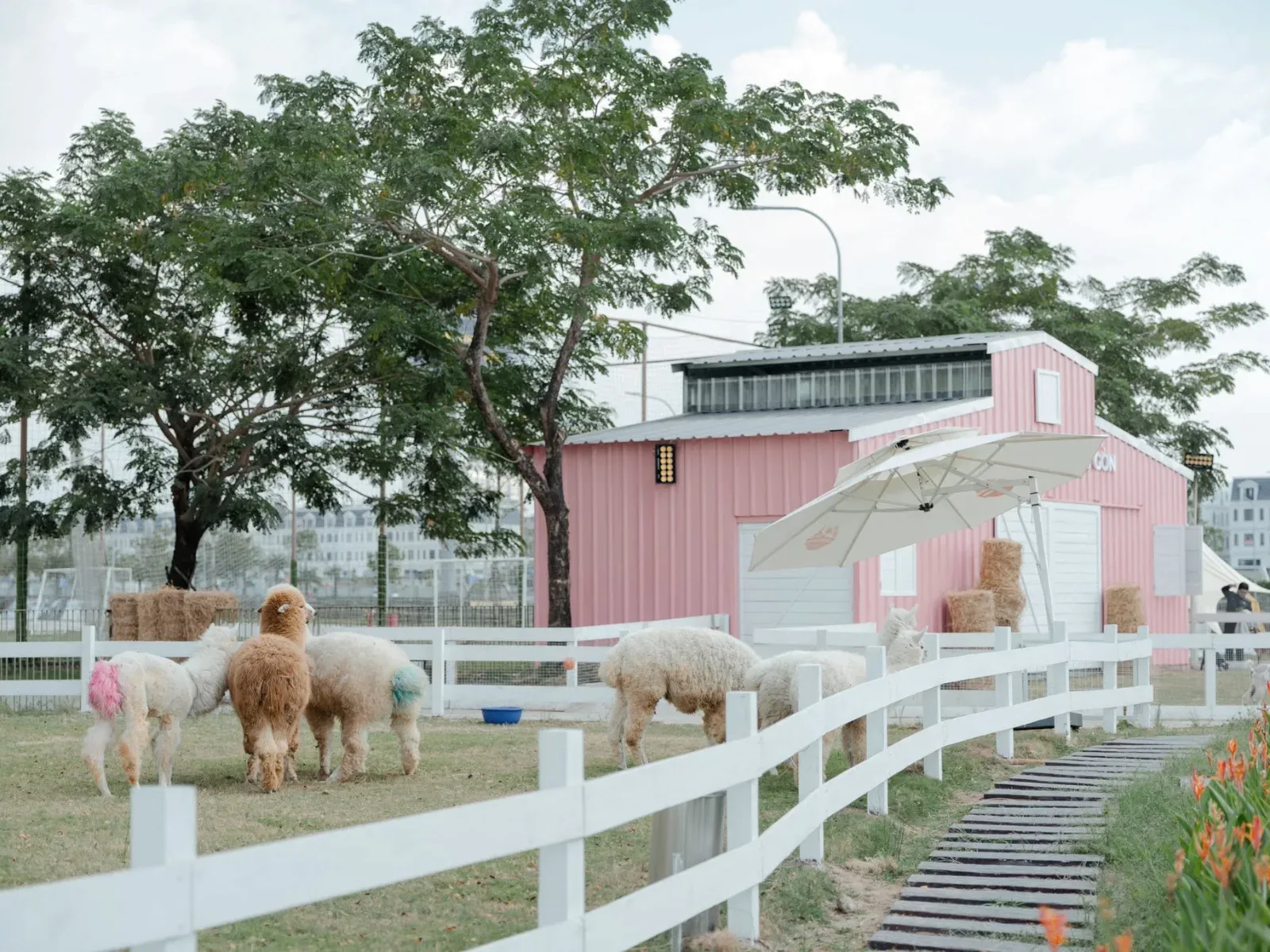 Không gian Mật Pet Farm Sài Gòn
