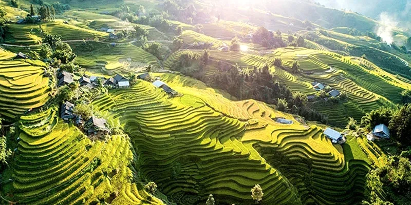 Ruộng bậc thang Mường Hoa